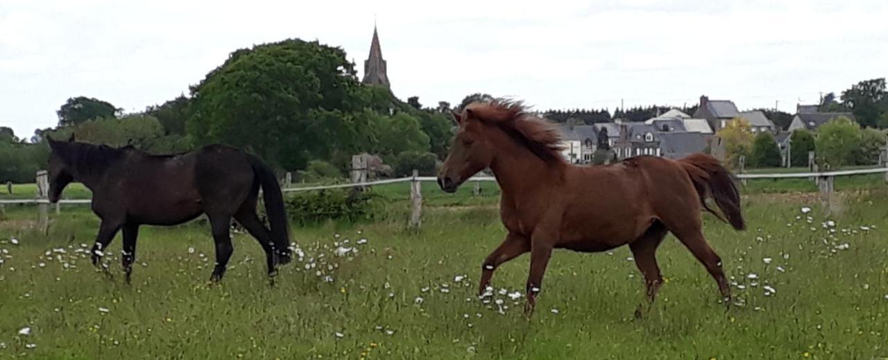 Gite La Bulle En Baie, Proche Mont Saint-Michel, Au Calme, Pour 4 Pers Crollon Exteriör bild